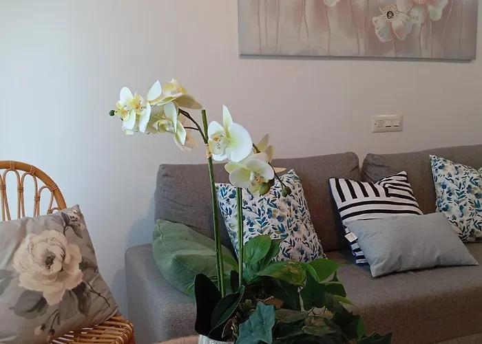 La Camara De Salesas *